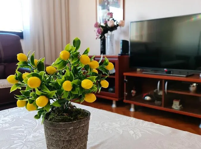 Family Ivanovic Skopje